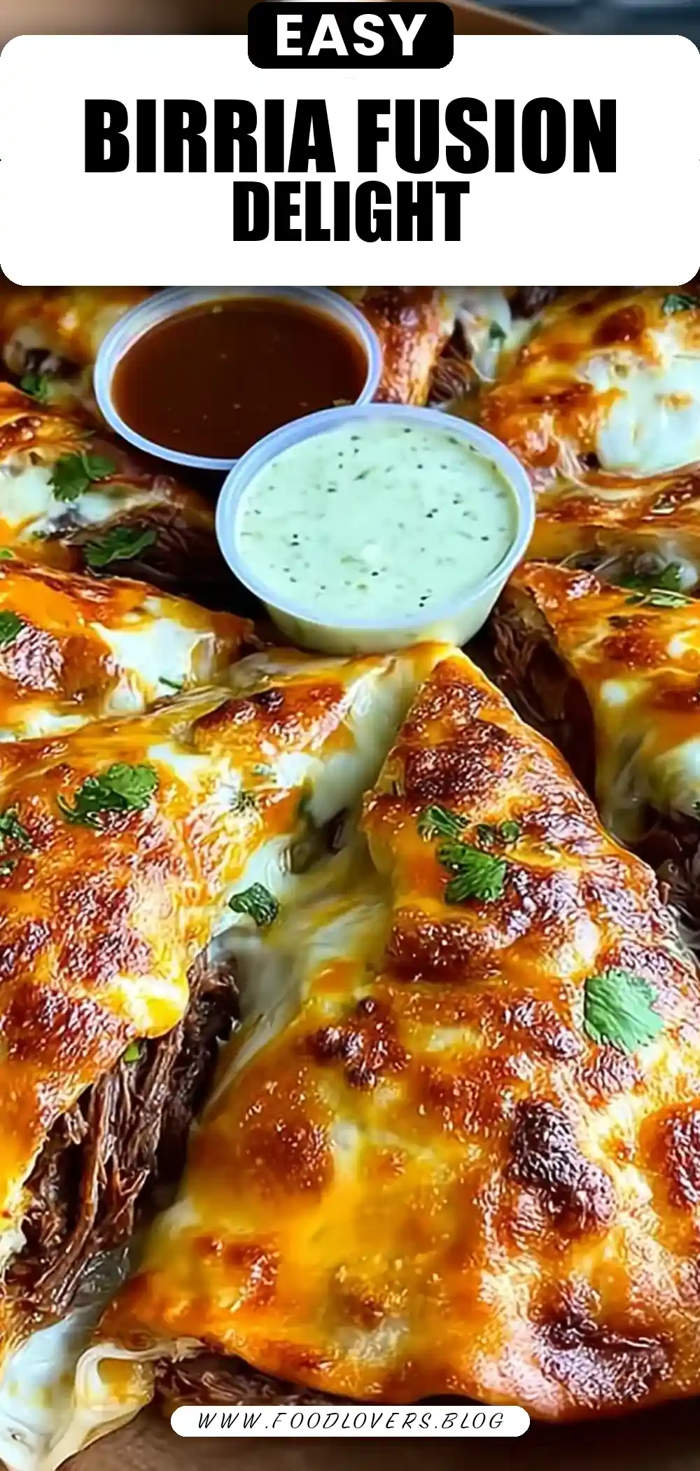 Birria Pizza